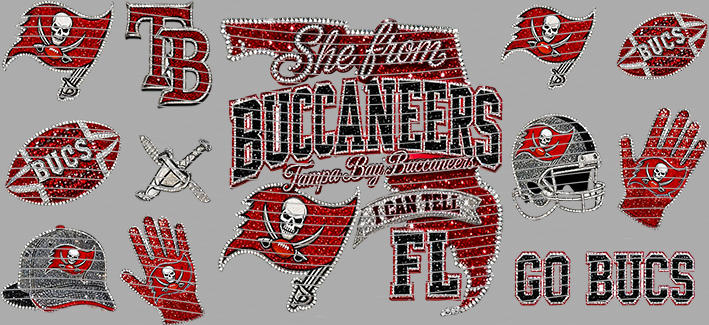 16oz team-NFL 3560